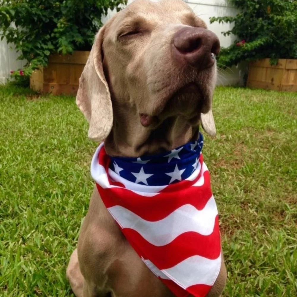 American Flag Red White and Blue Bandana for Pets